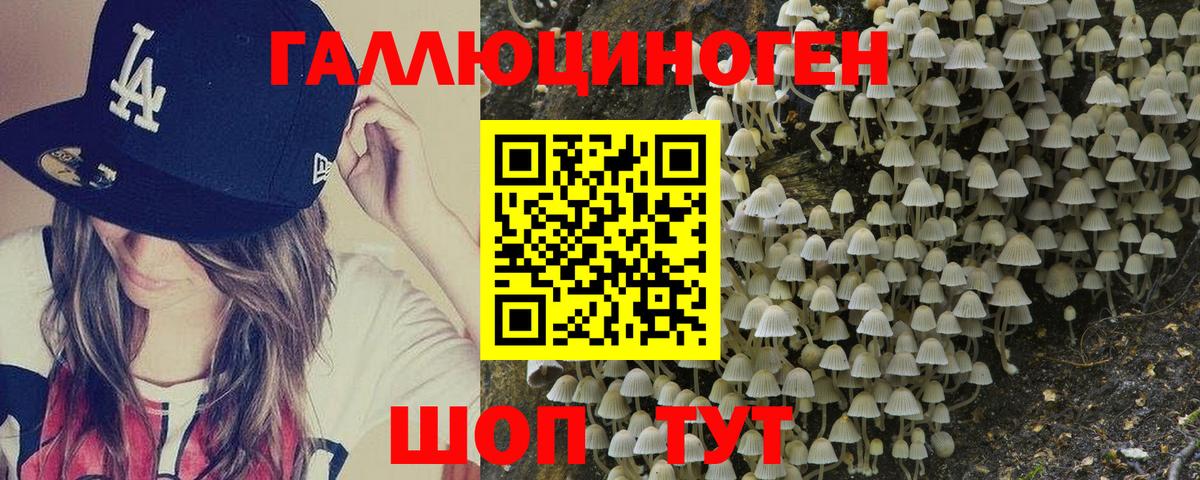 Псилоцибиновые грибы ЛСД  купить закладку  Великий Устюг  Вход с VPN 