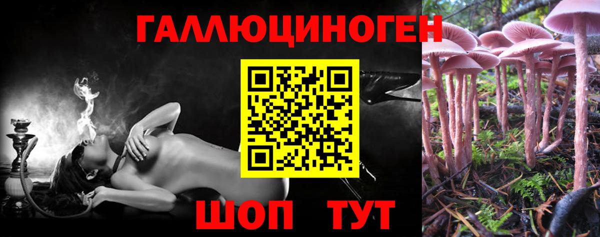 Галлюциногенные грибы ЛСД Великий Устюг
